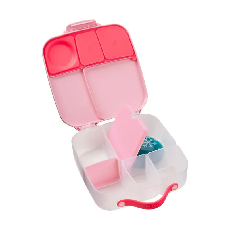 B box Whole Foods Bento Lunchbox - Healthy Snacks NZ - Order Online