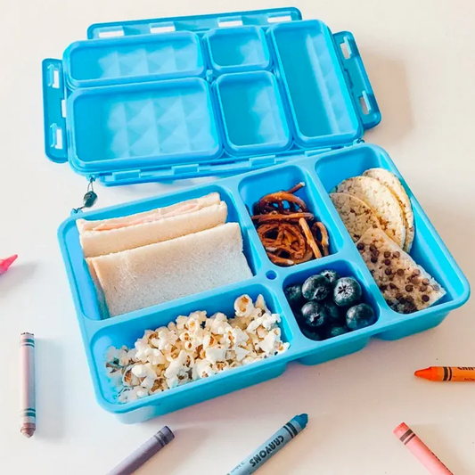 Go Green Food Box, LARGE Lunchbox - Healthy Snacks NZ