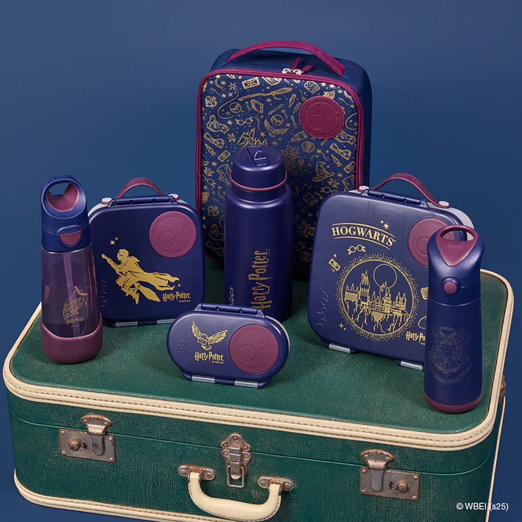 Collection of Harry Potter-themed travel accessories on a green suitcase with a blue background.