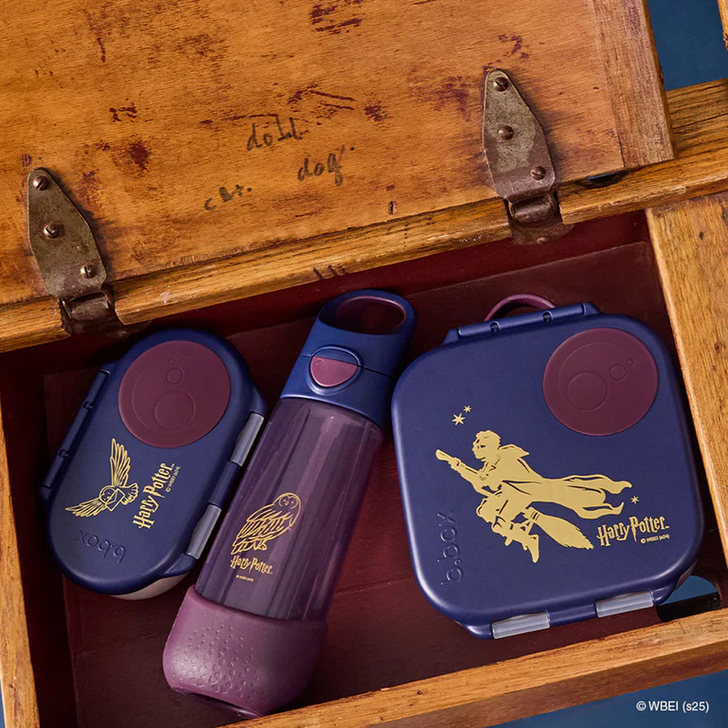 Three Harry Potter-themed containers in a wooden box with 'W.B.E.' branding.