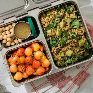 PlanetBox Stainless Steel Lunchbox, Launch - Healthy Snacks NZ