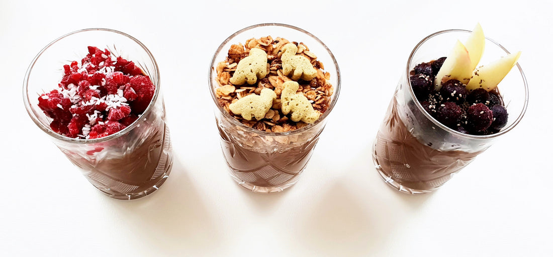 Only "Good Fats" Pudding Recipe - Healthy Snacks NZ