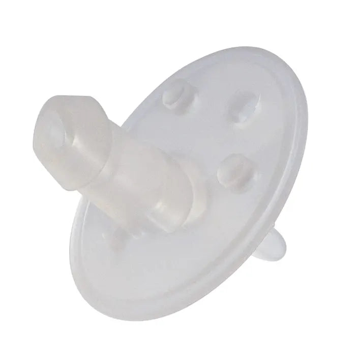 (2pc) 500ml B.Box Insulated Sport Bottle Replacement Spout - Healthy Snacks NZ