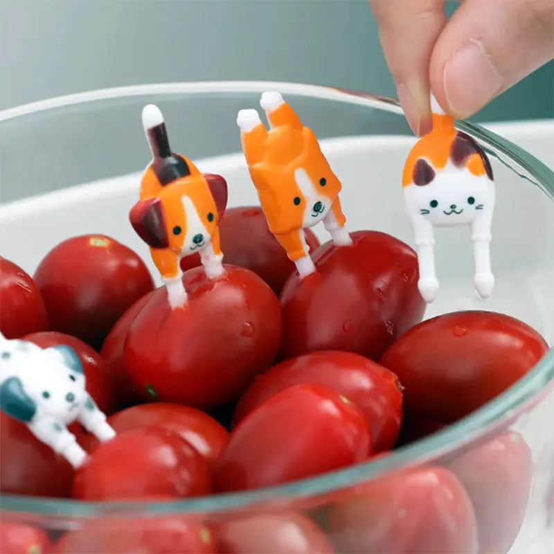 (7pc) Food Picks, Cats & Dogs - Healthy Snacks NZ