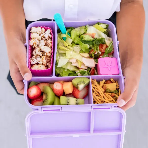 Montii Bento PLUS Lunch Box - Healthy Snacks NZ