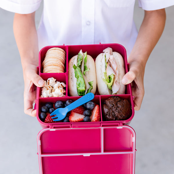 Montii Bento PLUS Lunch Box