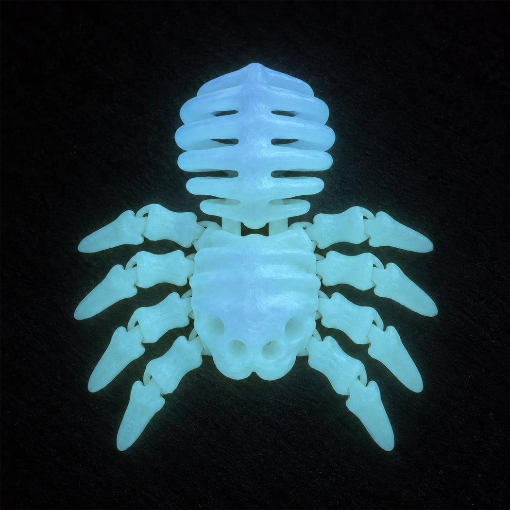 A glowing pale blue-green spider skeleton figurine or pendant on a black background.