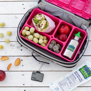 Go Green Food Box, LARGE Lunchbox - Healthy Snacks NZ