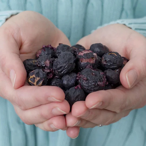 Freeze-Dried Whole NZ Blueberries, 25g - Healthy Snacks NZ