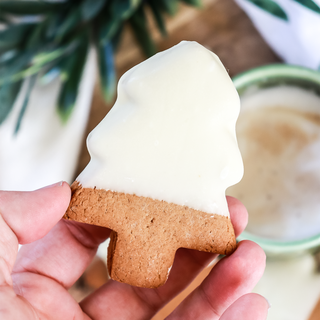 Person holding a gingerbread cookie with white icing, blurred background