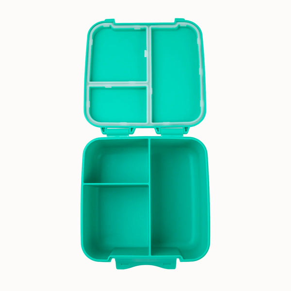 Turquoise plastic compartmentalized container on a white background