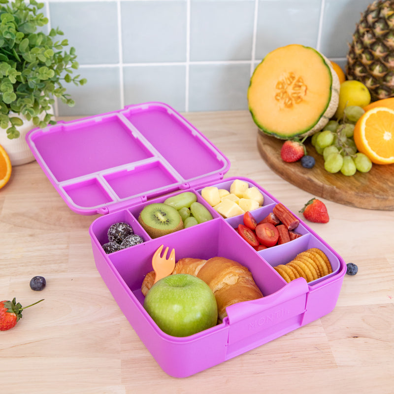 Montii Feast Large Bento Lunch Box - Healthy Snacks NZ