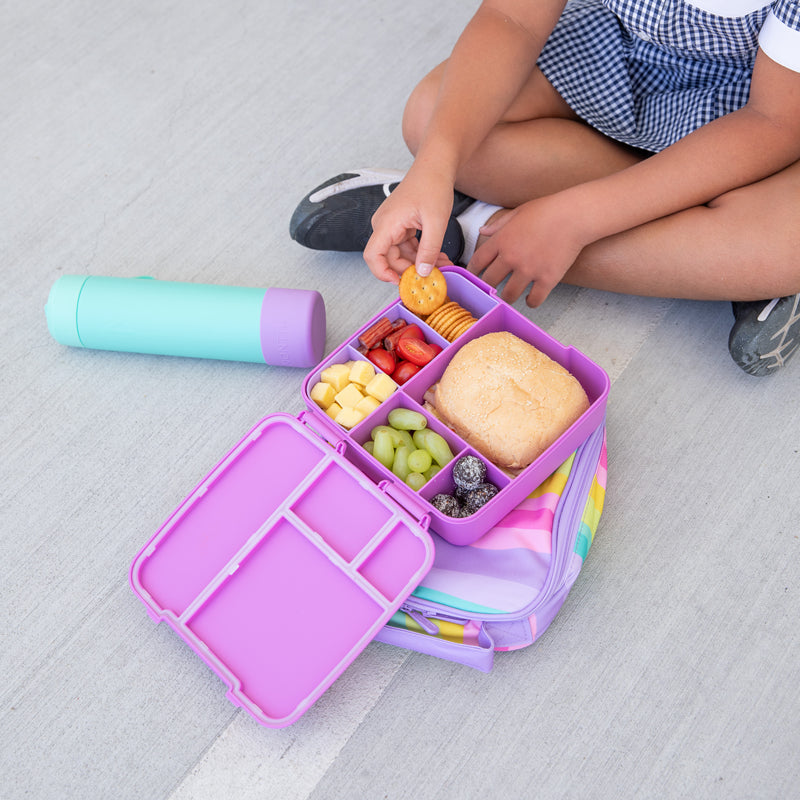 Montii Feast Large Bento Lunch Box - Healthy Snacks NZ
