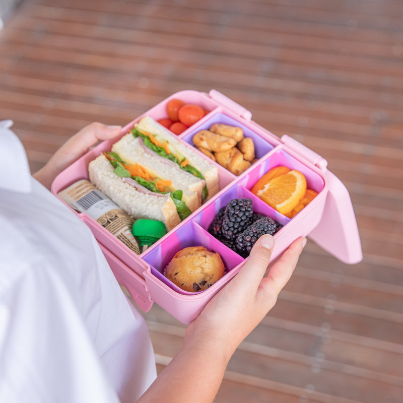 Montii Feast Large Bento Lunch Box - Healthy Snacks NZ