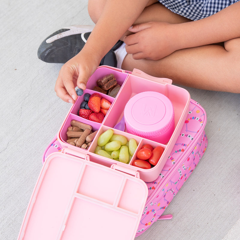Montii Feast Large Bento Lunch Box - Healthy Snacks NZ
