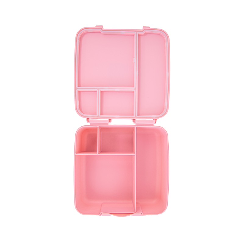 Montii Feast Large Bento Lunch Box - Healthy Snacks NZ