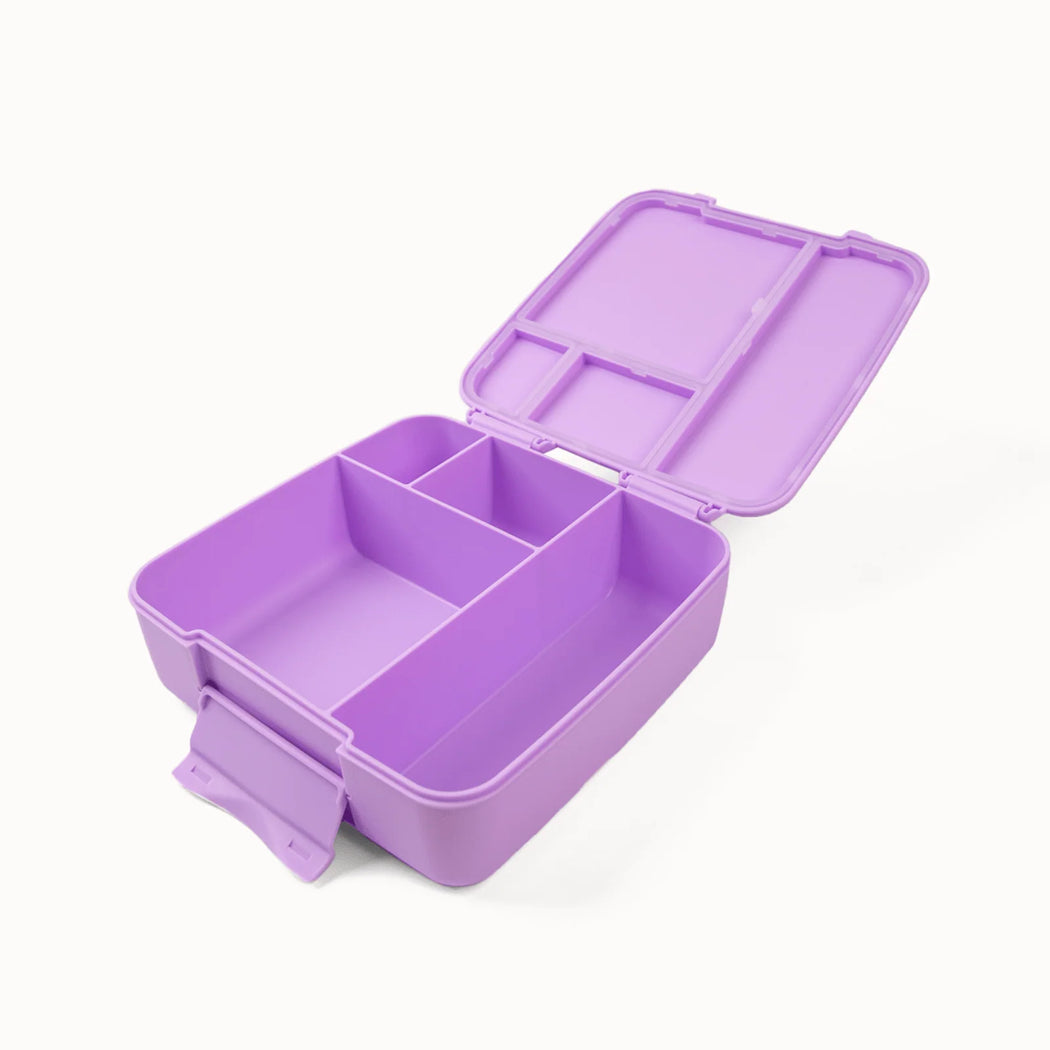 Montii Feast Large Bento Lunch Box