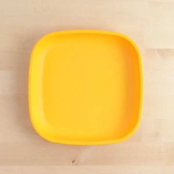 Re-Play Flat Plate, Large Size - Healthy Snacks NZ
