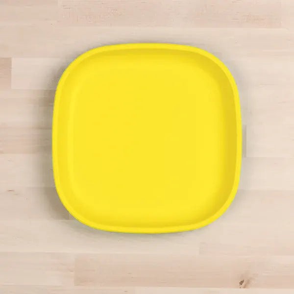 Re-Play Flat Plate, Large Size - Healthy Snacks NZ