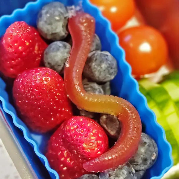 Silicone Mould Wormy Snake - Healthy Snacks NZ