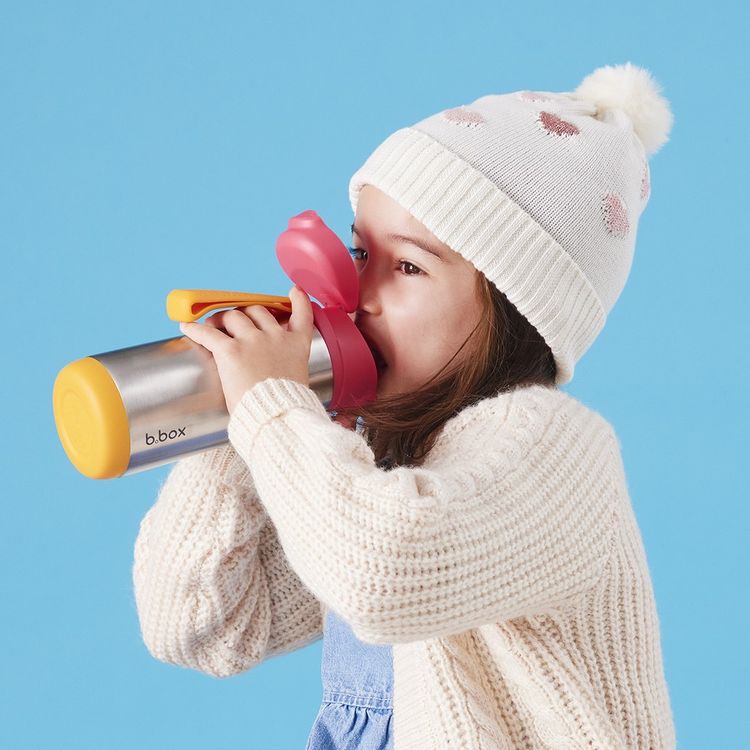 500ml insulated sport spout bottle - Healthy Snacks NZ