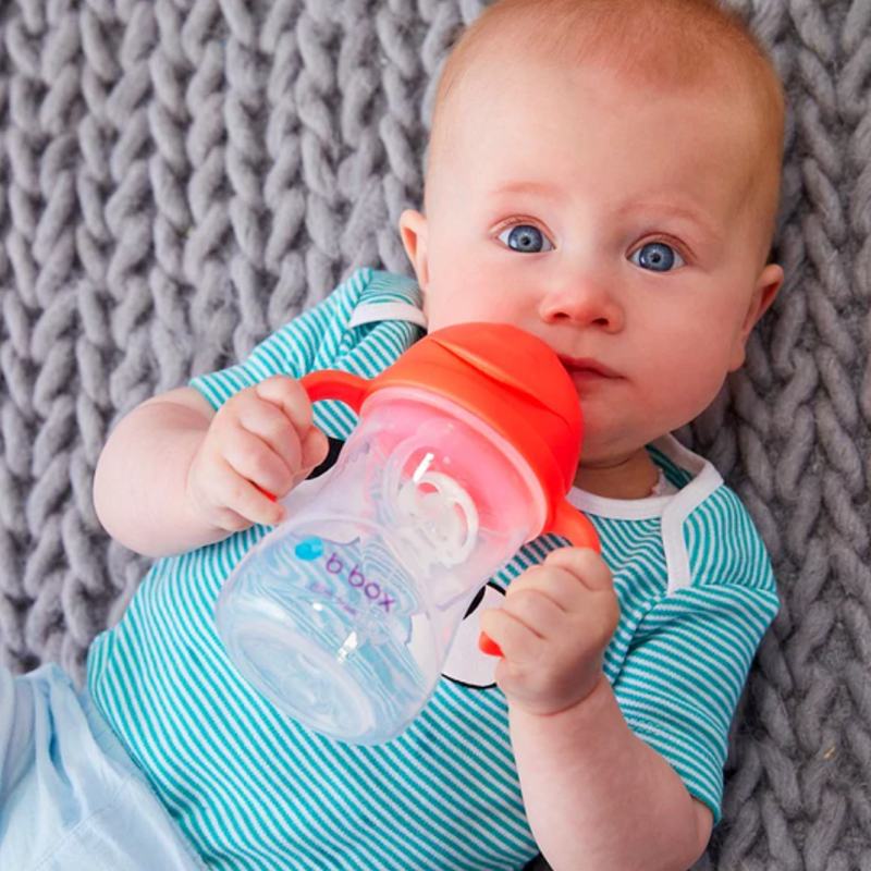 B.Box Sippy Cup, 240ml - Healthy Snacks NZ