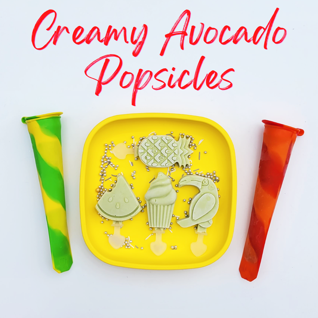 Silicone Ice Pop Moulds - Healthy Snacks NZ