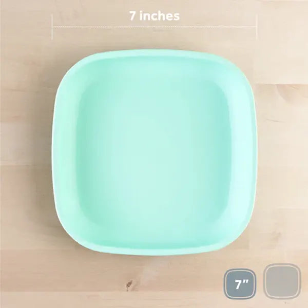 Re-Play Flat Plate Mint - Healthy Snacks NZ
