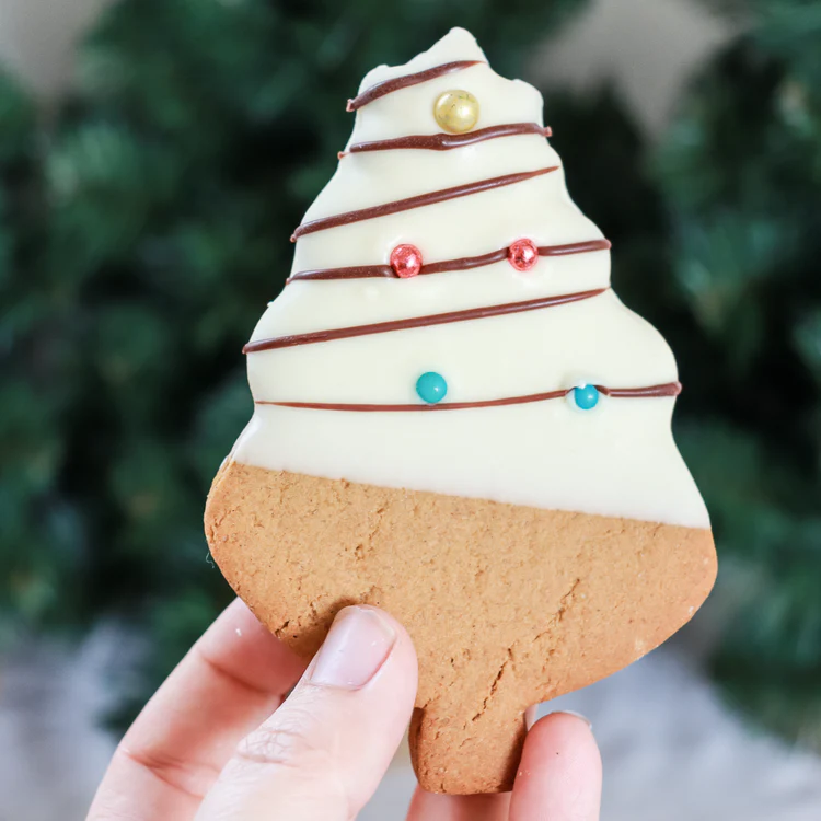 Molly Woppy, Handmade Gingerbread Christmas Tree, 44g - Healthy Snacks NZ