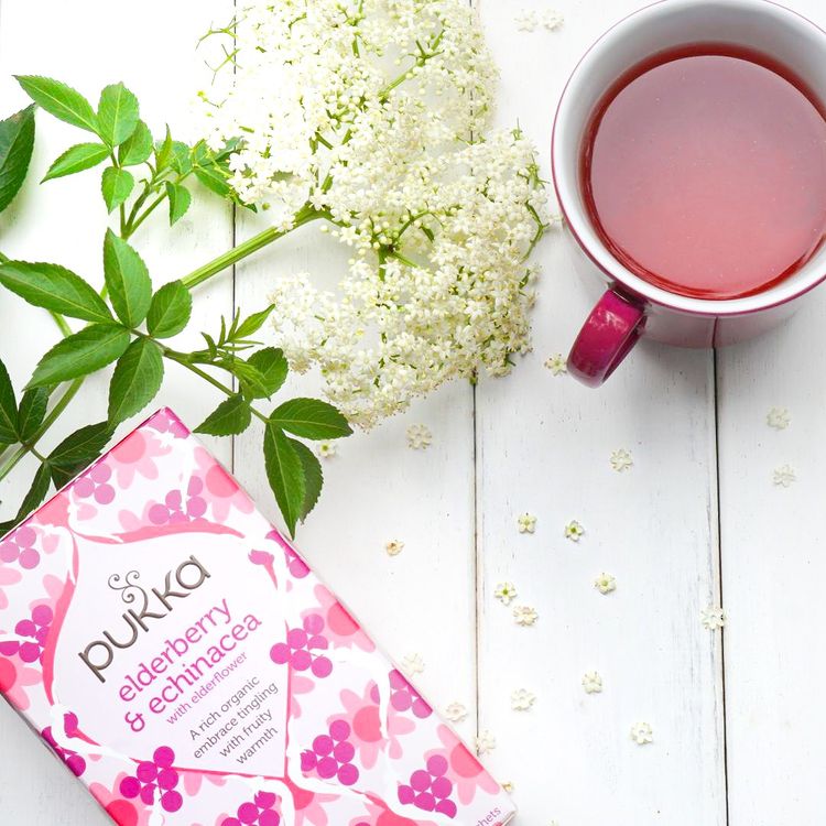 Pukka Organic Tea, Elderberry & Echinacea - Healthy Snacks NZ